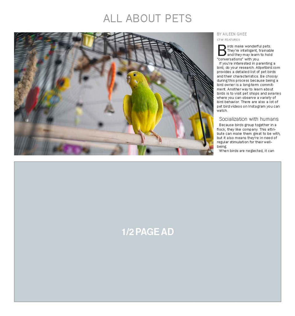 All About Pets 2024