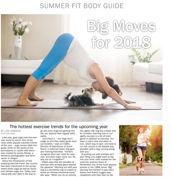 Summer Fit Body Guide - The Content Store