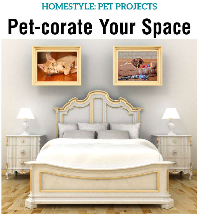 HomeStyle 2016: Fall & Winter Home Prep - The Content Store